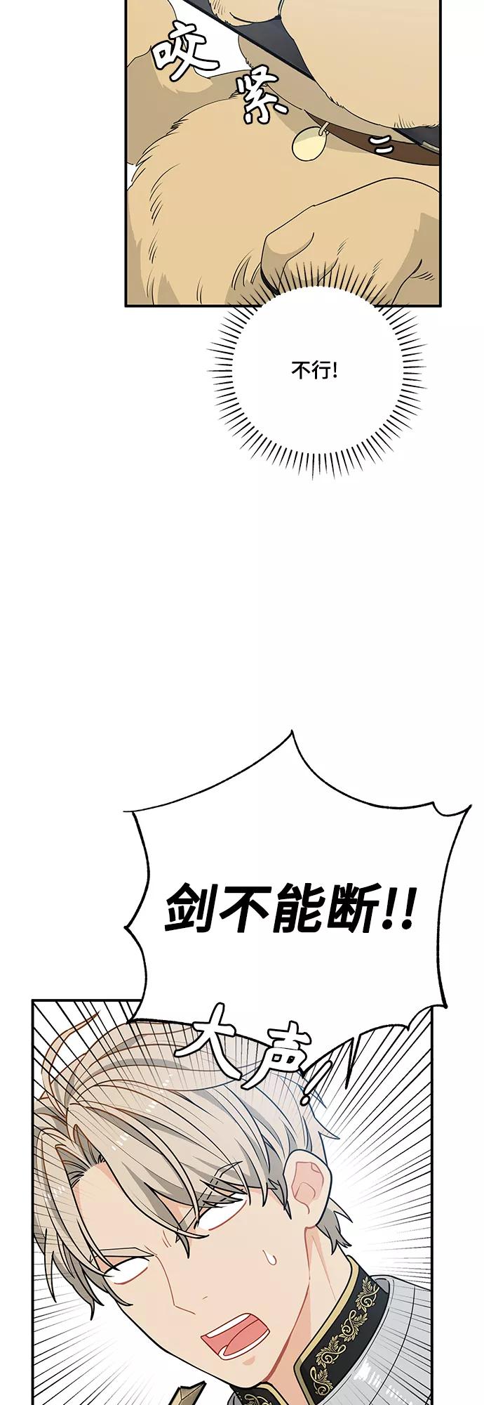 《守护骑士大人》第8话 第44页
