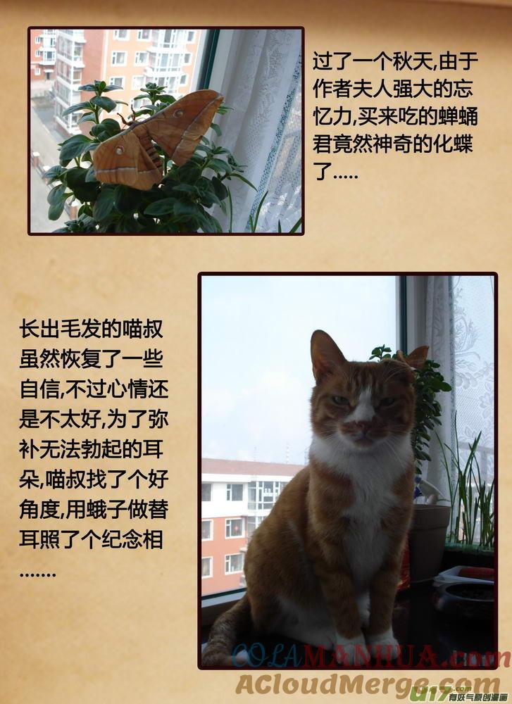 《守护者传说》089时光13＋与人类生活记录 第23页