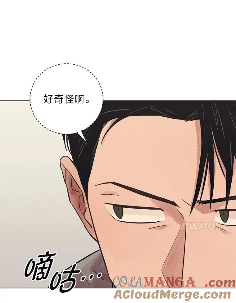 《幻像缉凶》36.出租车指示灯 第29页