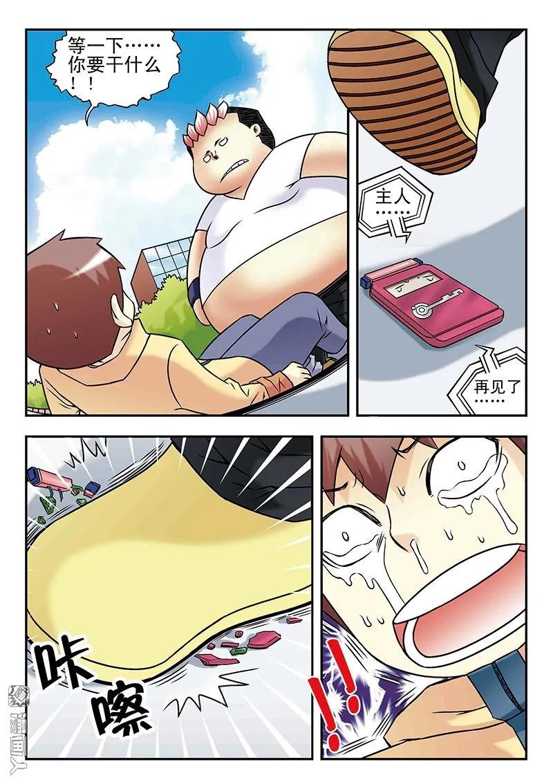 8.jpg