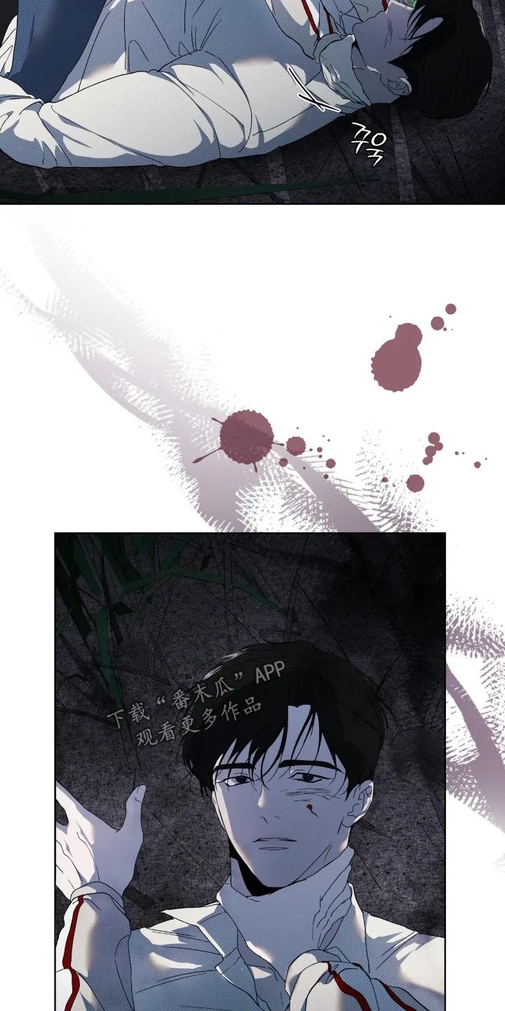 《物种的进化》第29章：两清了 第20页