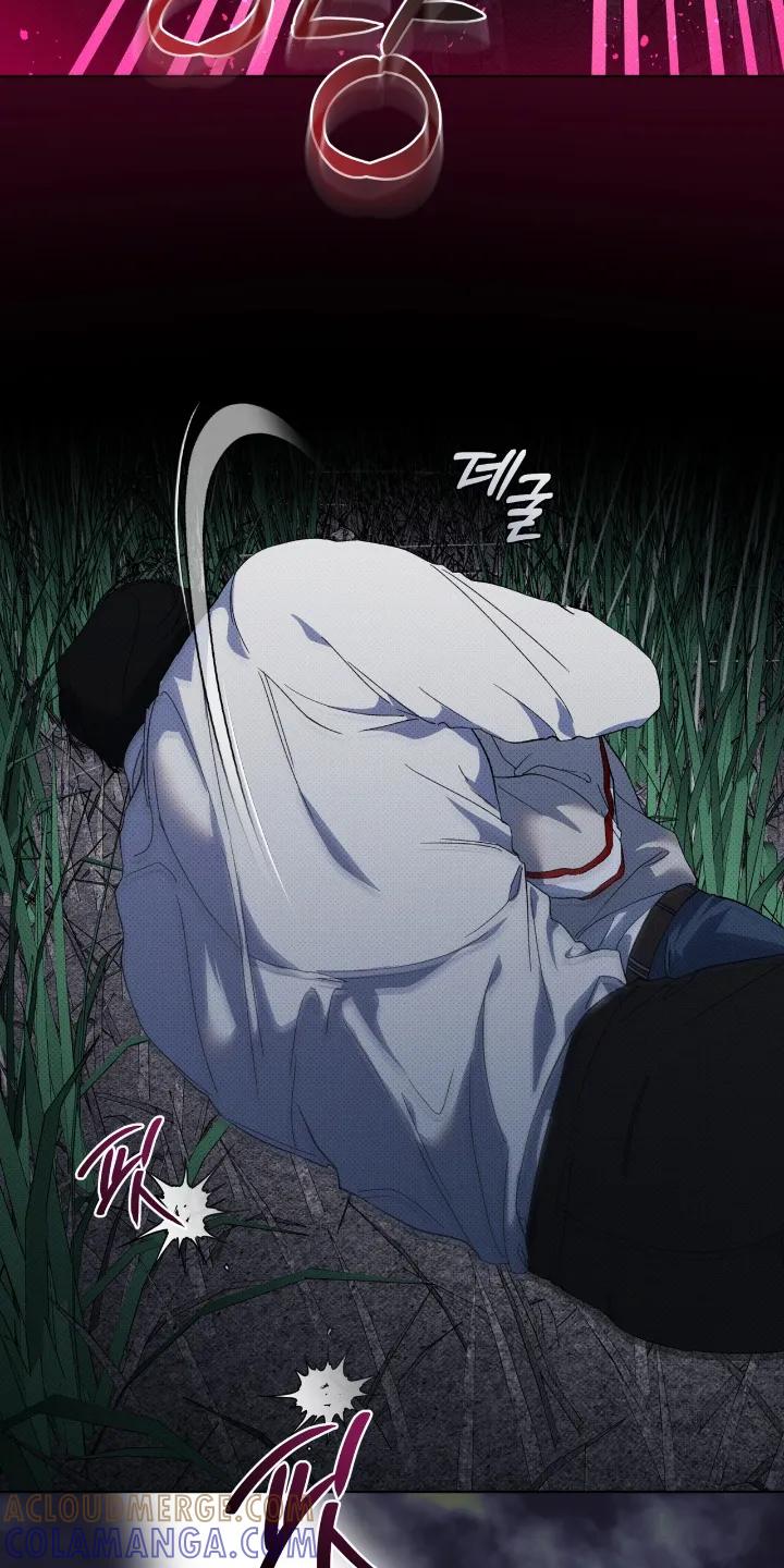《物种的进化》第29章：两清了 第11页