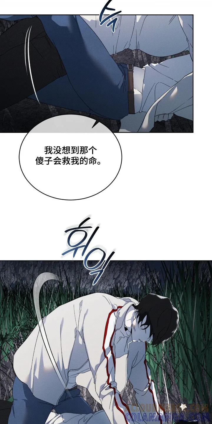 《物种的进化》第29章：两清了 第19页