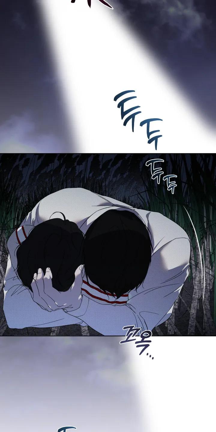 《物种的进化》第29章：两清了 第12页