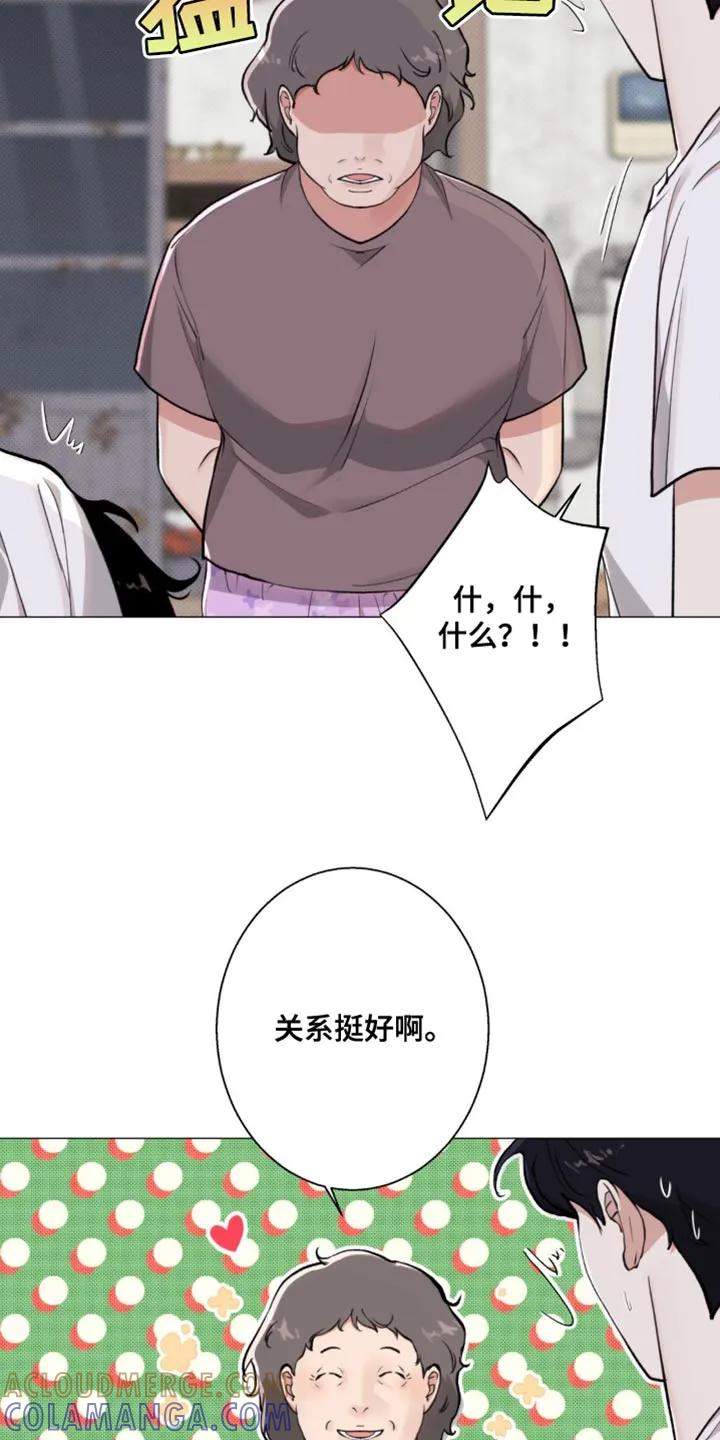 《海岛人生》第32章：关系挺好 第25页