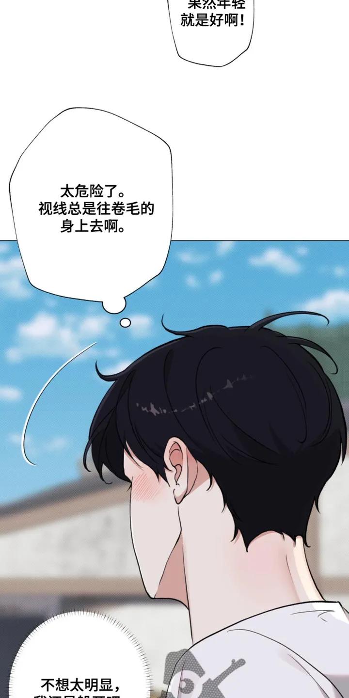 《海岛人生》第32章：关系挺好 第20页