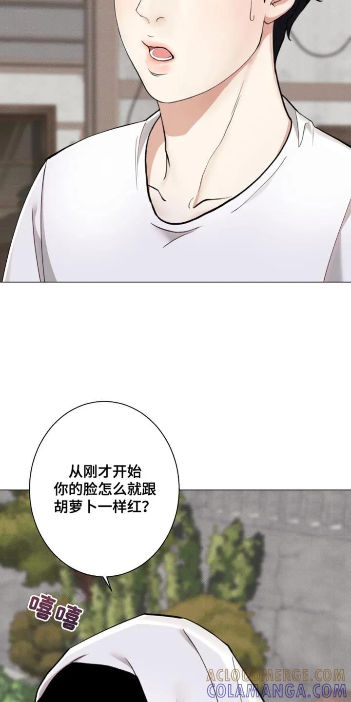 《海岛人生》第32章：关系挺好 第23页