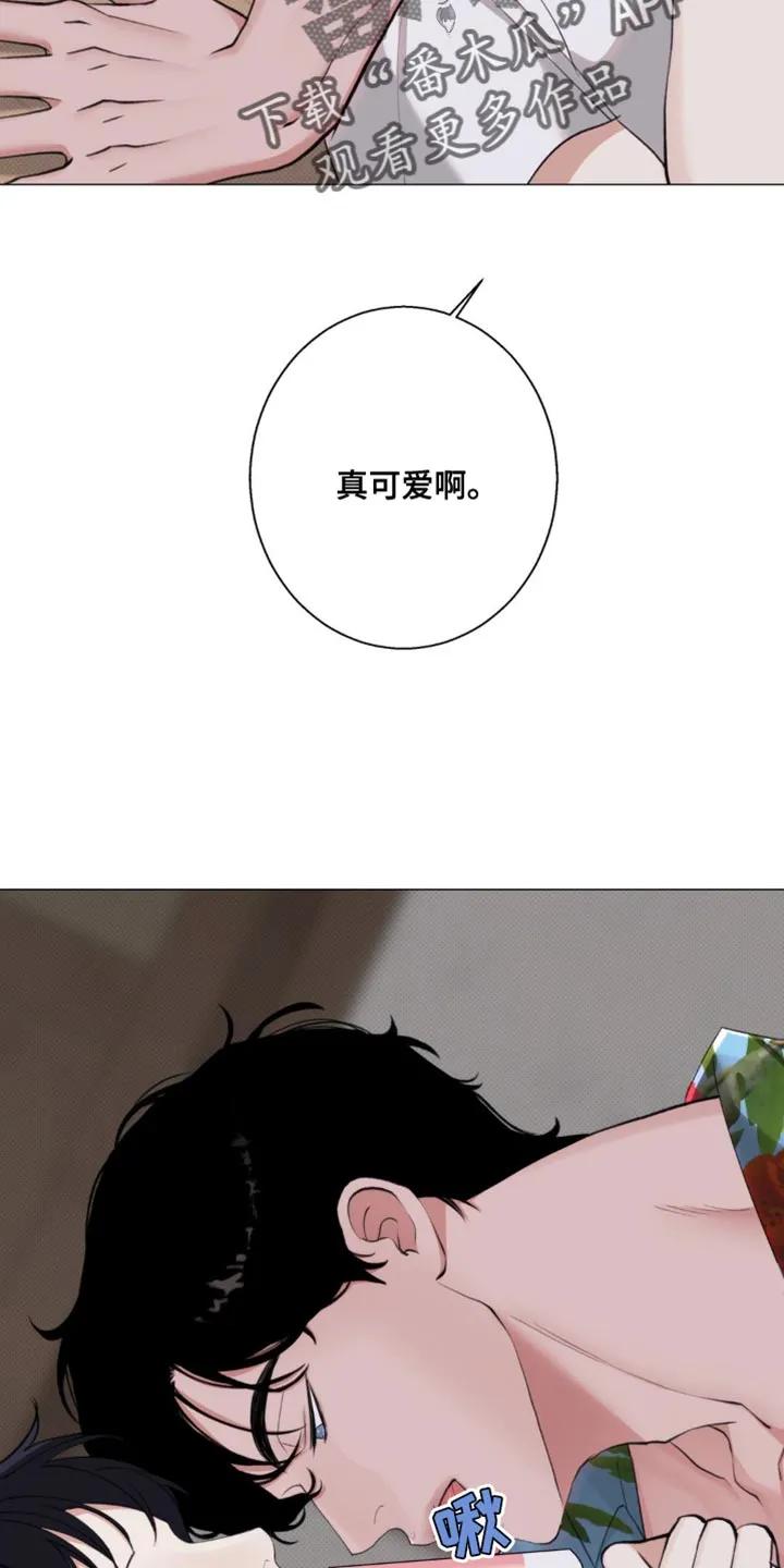 《海岛人生》第33章：冰淇淋 第8页