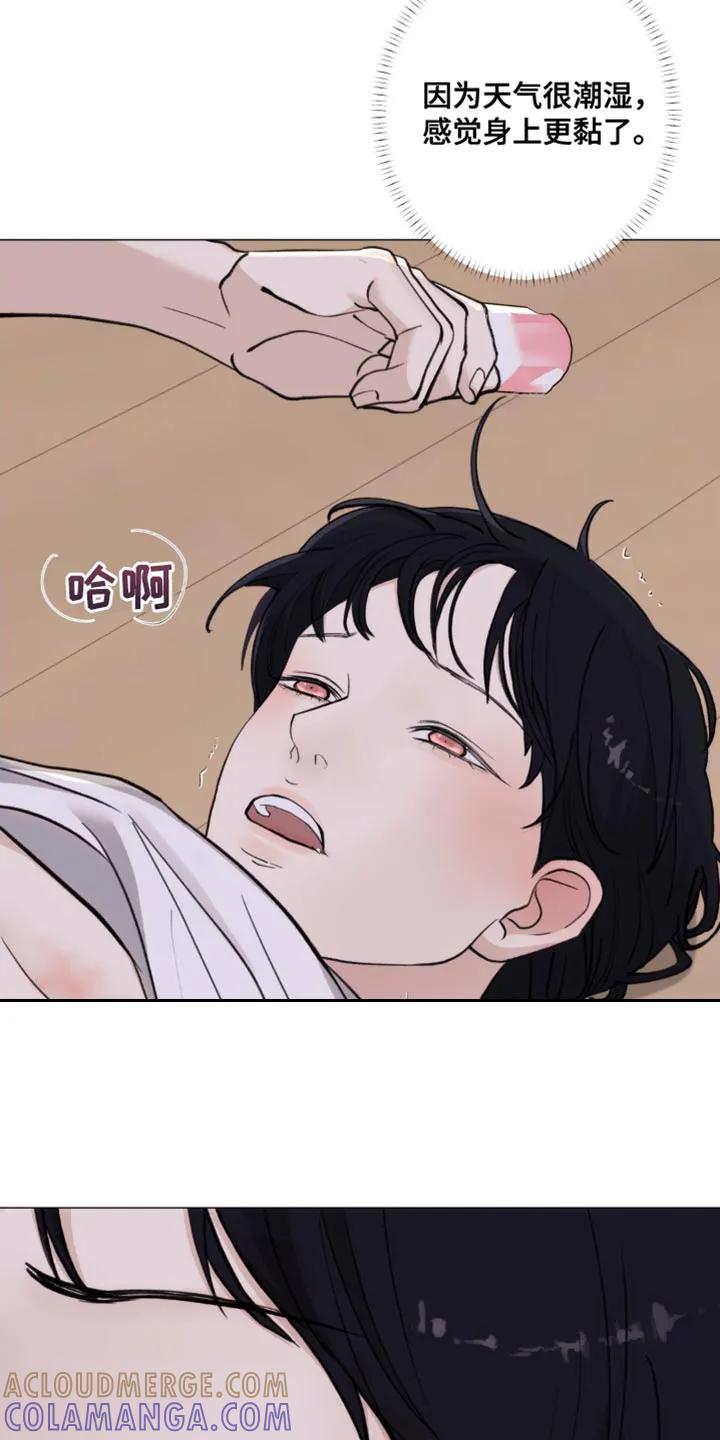《海岛人生》第34章：坏蛋 第3页