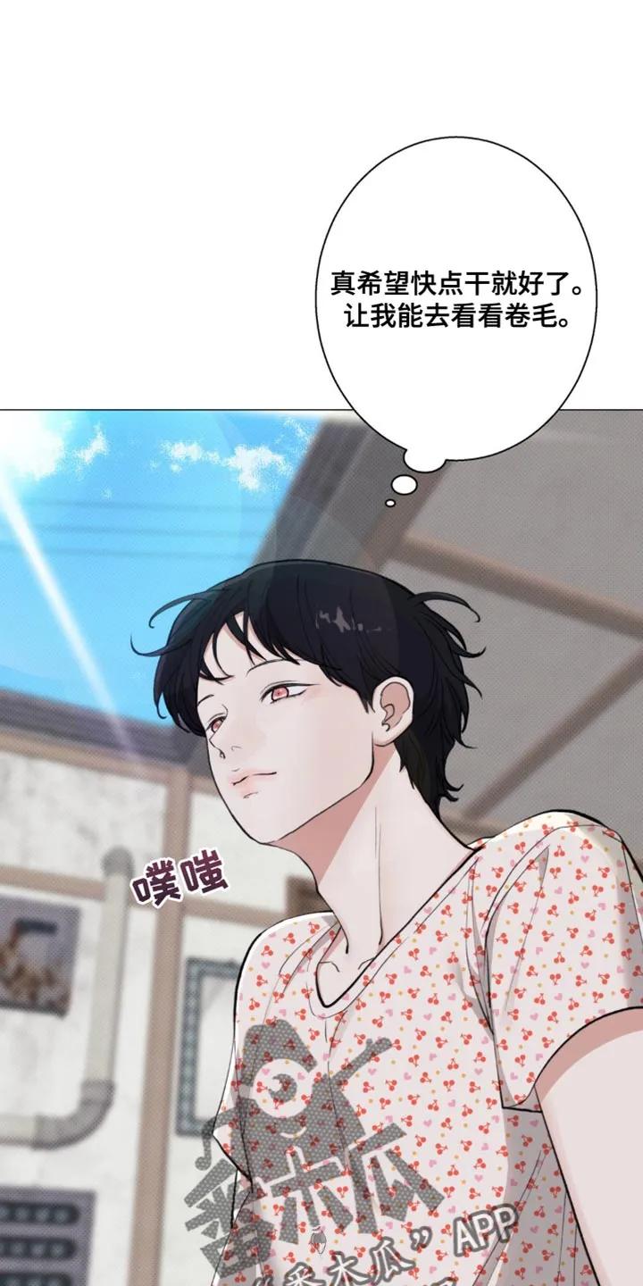 《海岛人生》第35章：都结束了 第2页
