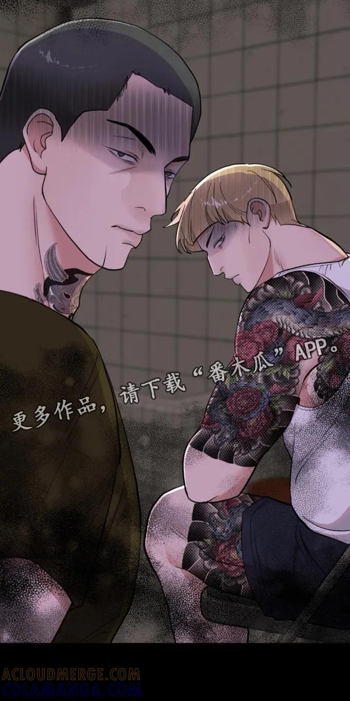 《海岛人生》第36章：是我听错了吗 第31页