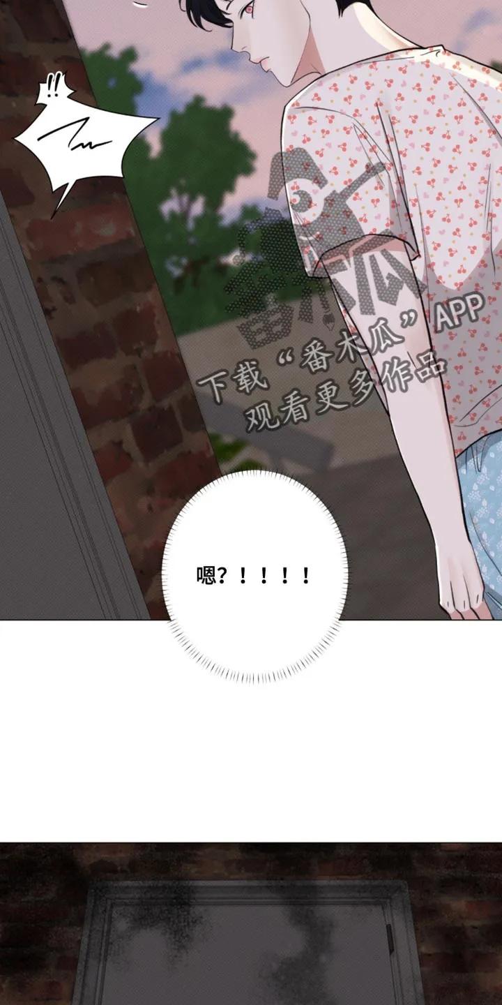 《海岛人生》第36章：是我听错了吗 第26页