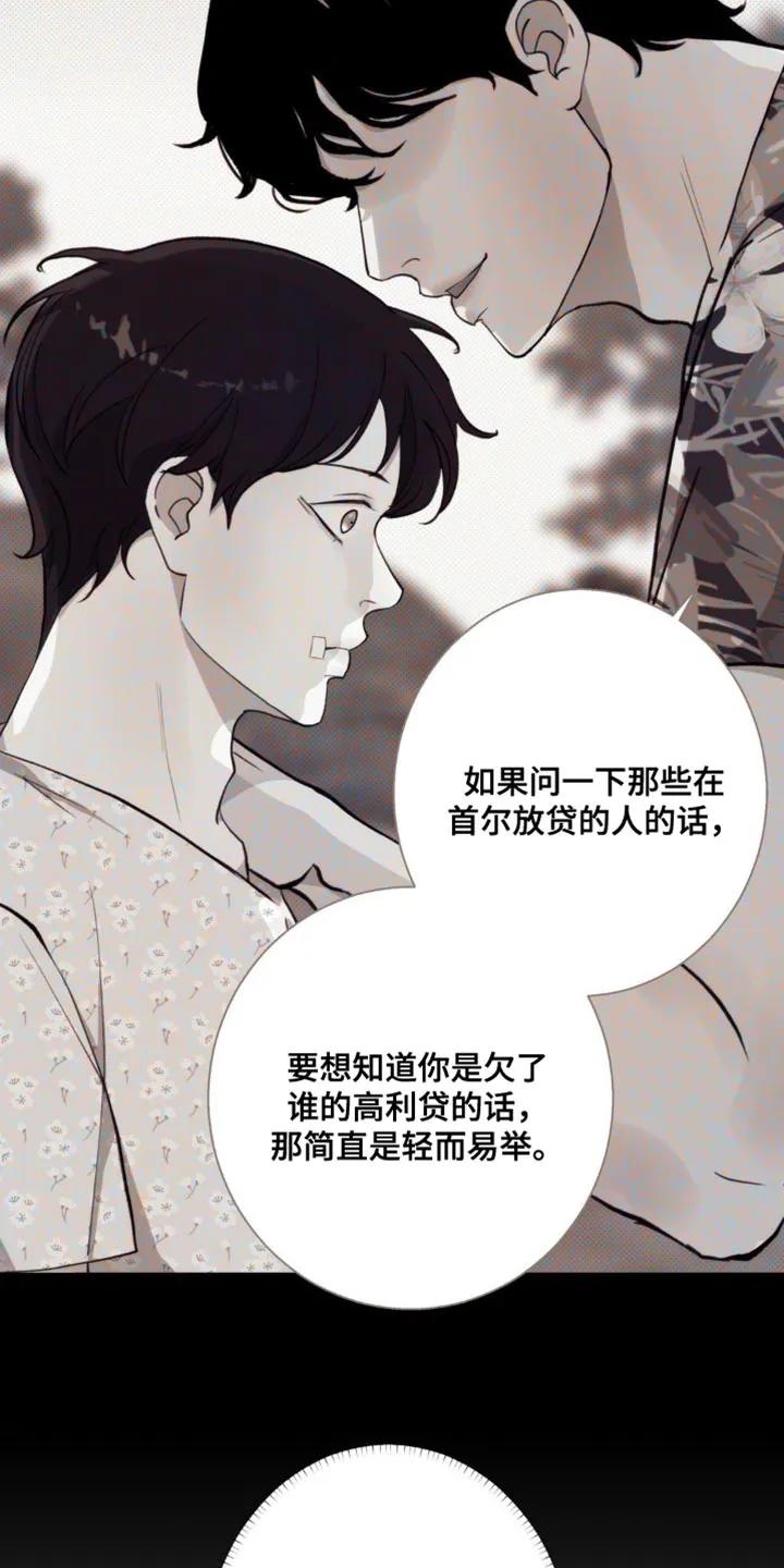 《海岛人生》第36章：是我听错了吗 第16页