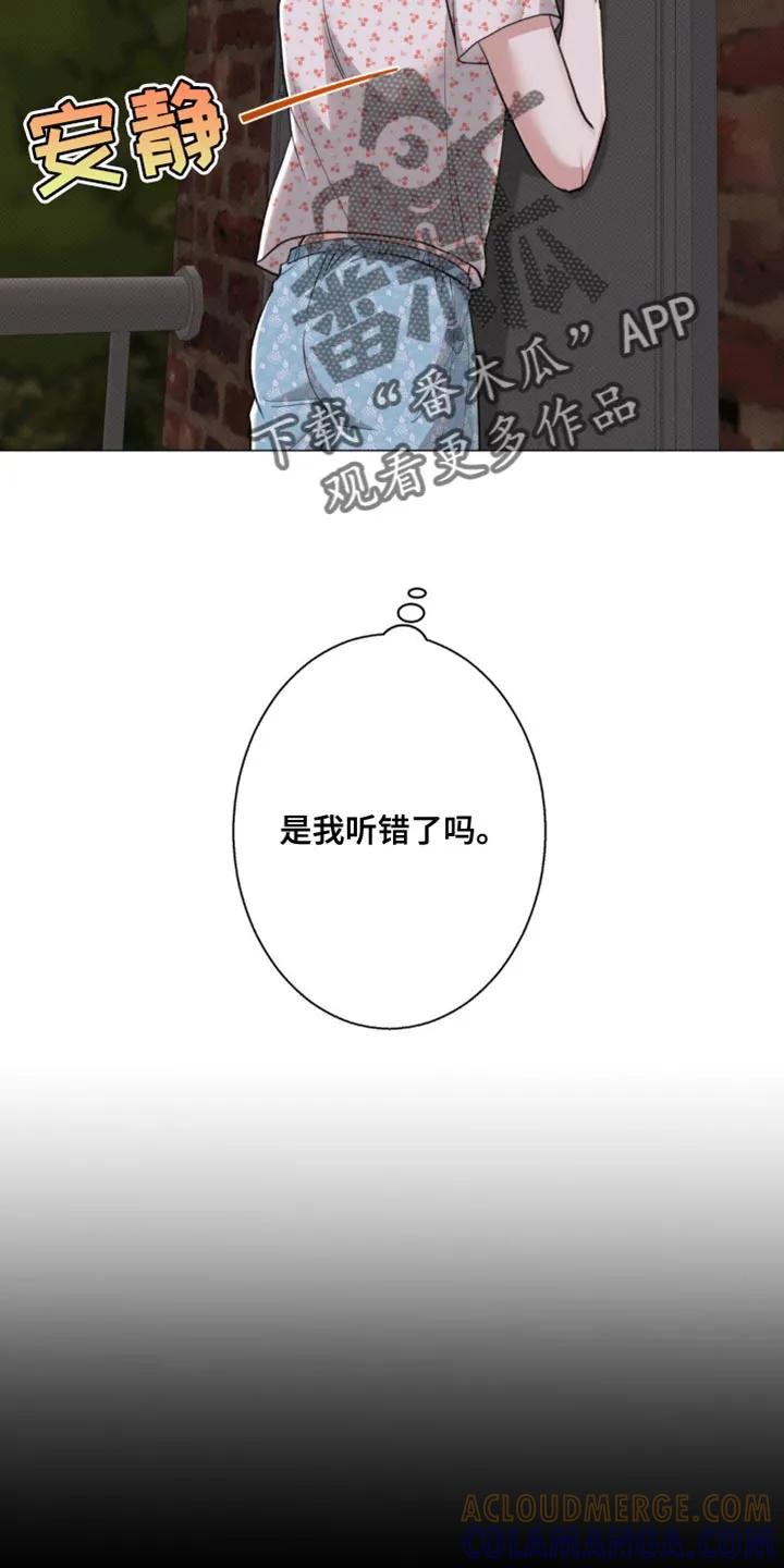 《海岛人生》第36章：是我听错了吗 第29页