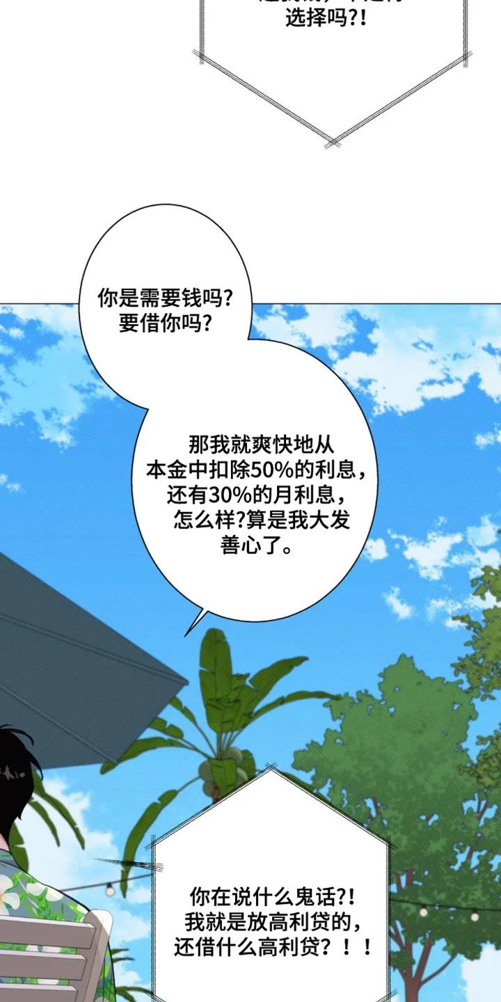 《海岛人生》第36章：是我听错了吗 第2页