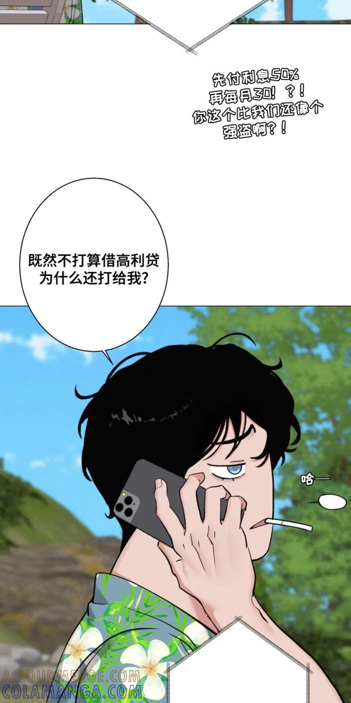 《海岛人生》第36章：是我听错了吗 第3页