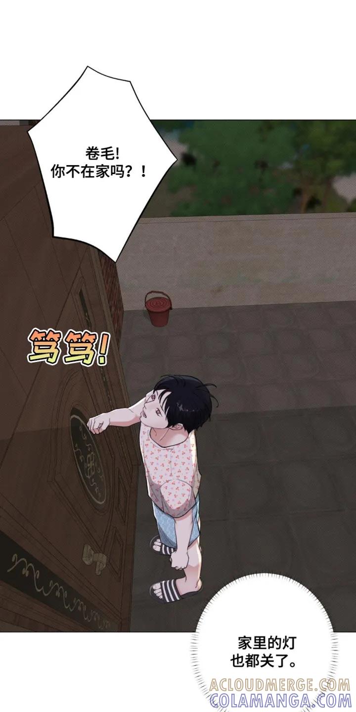 《海岛人生》第36章：是我听错了吗 第21页
