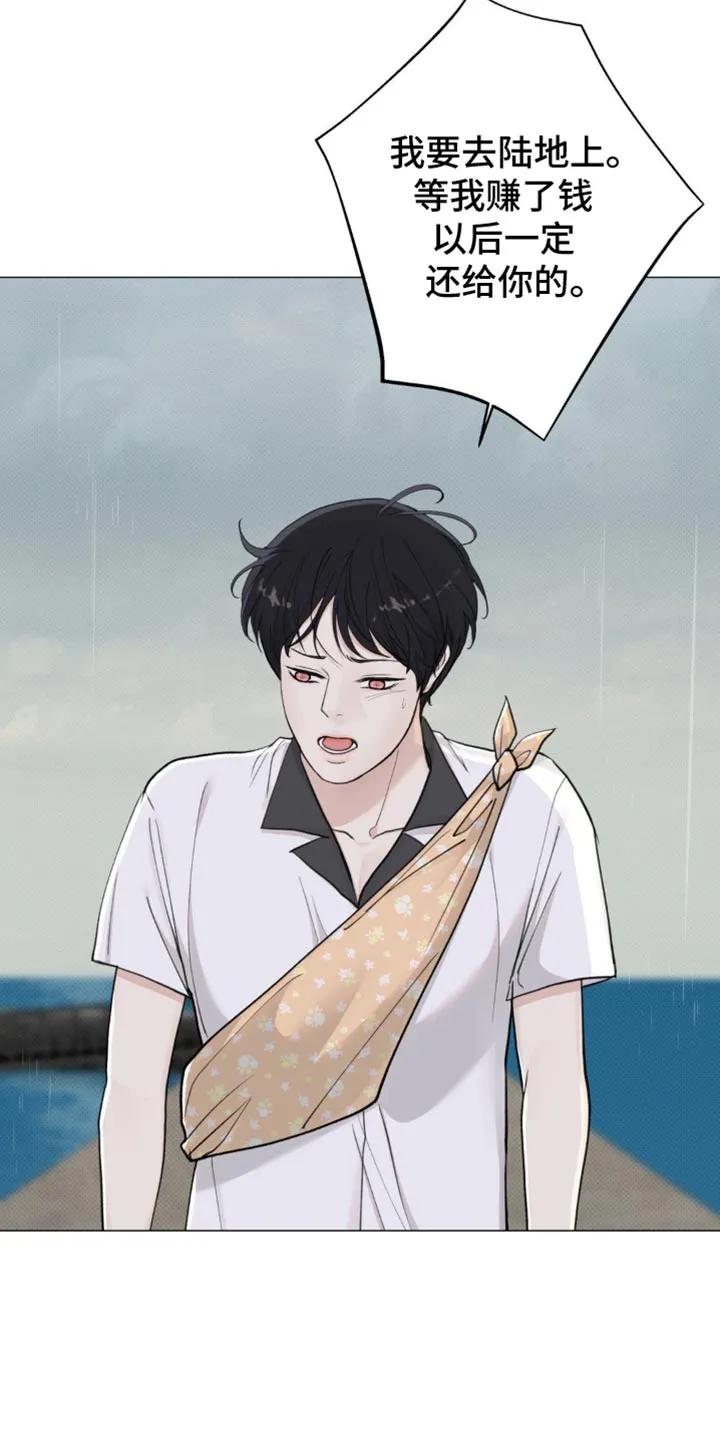 《海岛人生》第37章：青春期 第12页