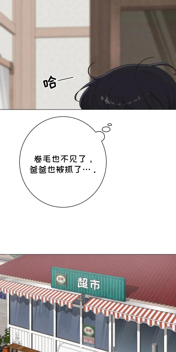 《海岛人生》第37章：青春期 第4页