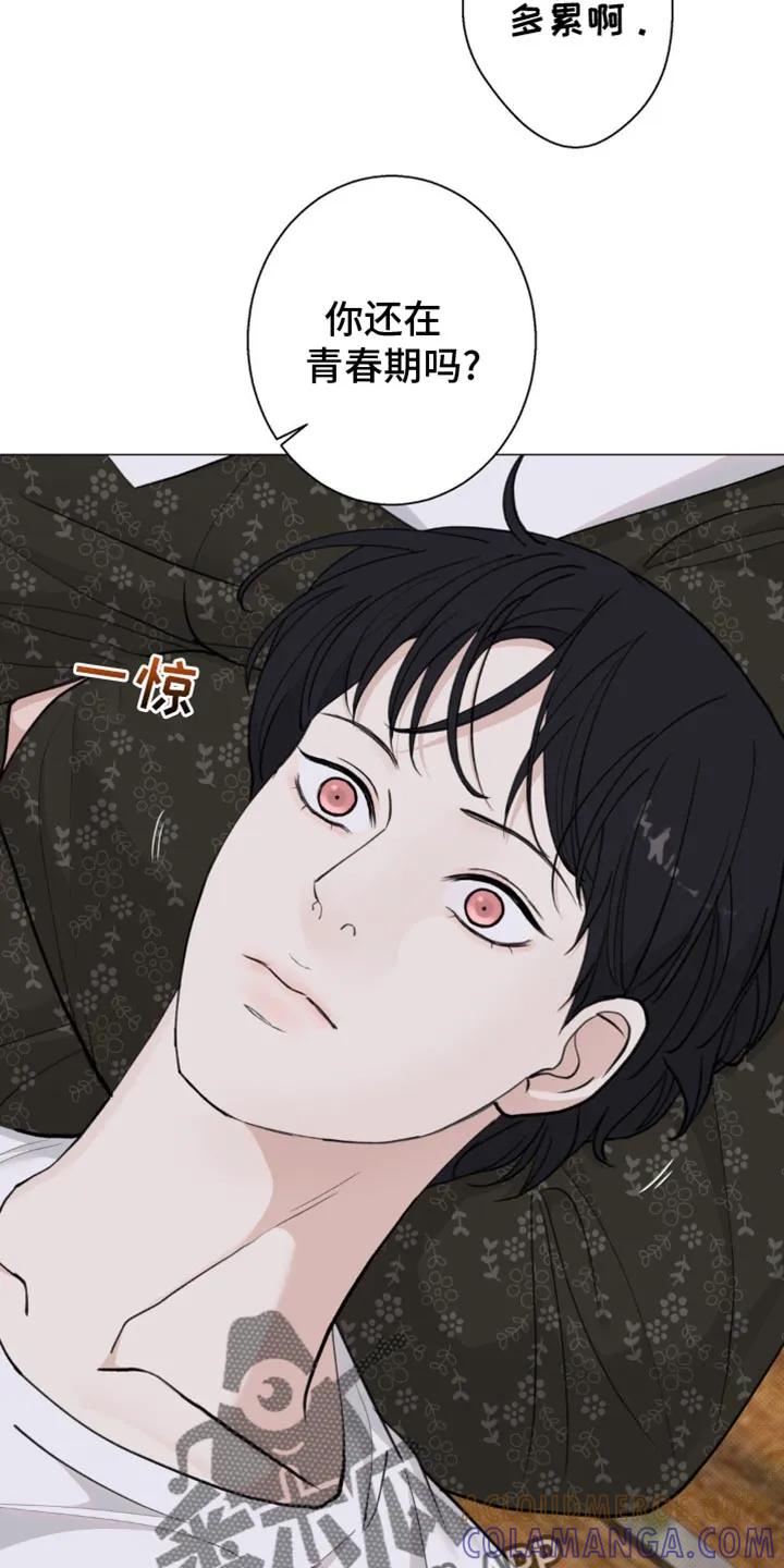 《海岛人生》第37章：青春期 第31页