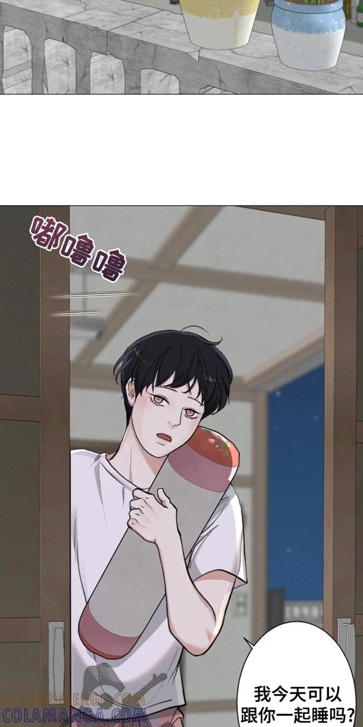 《海岛人生》第39章：感谢 第19页