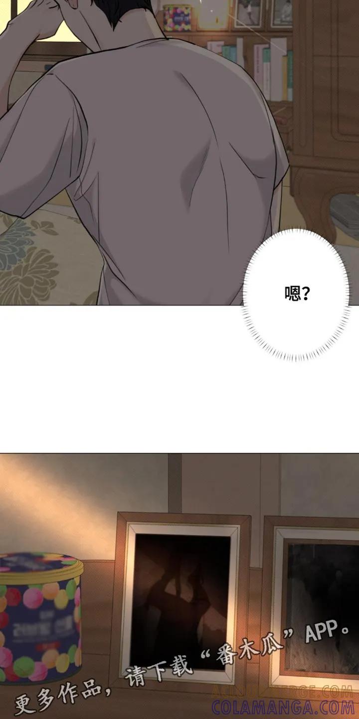 《海岛人生》第39章：感谢 第29页
