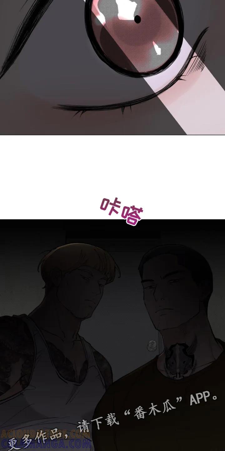 《海岛人生》第40章：他没有说谎 第25页