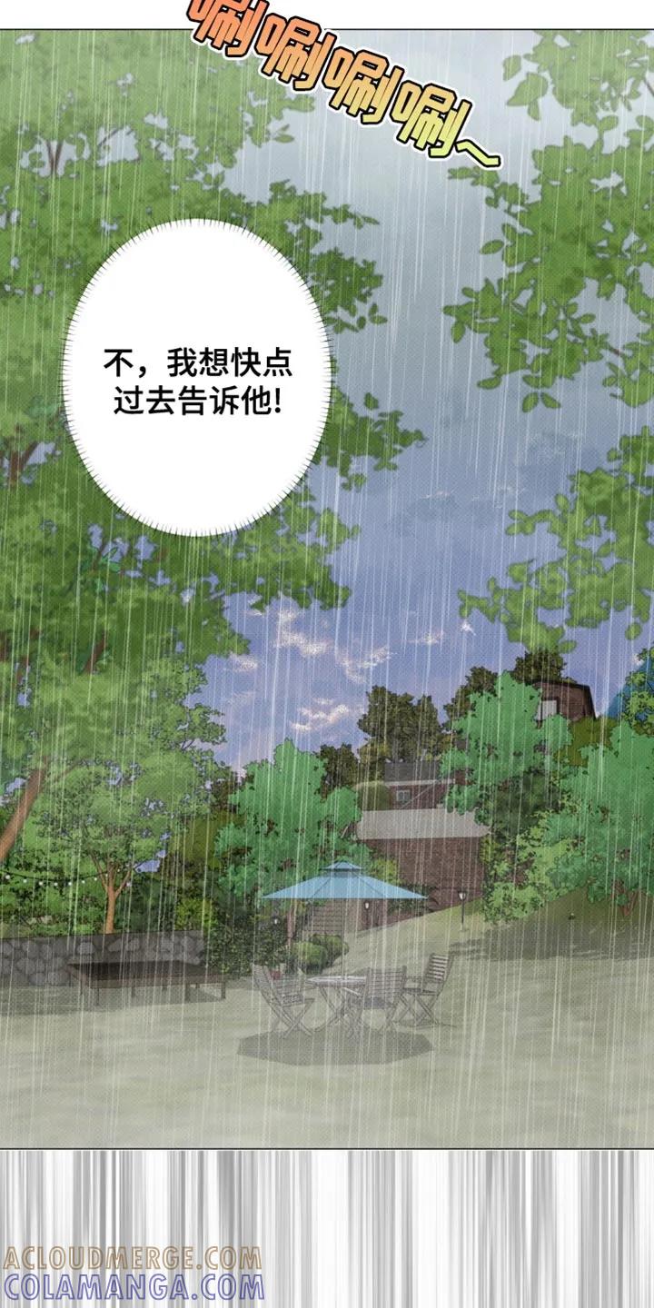 《海岛人生》第40章：他没有说谎 第11页