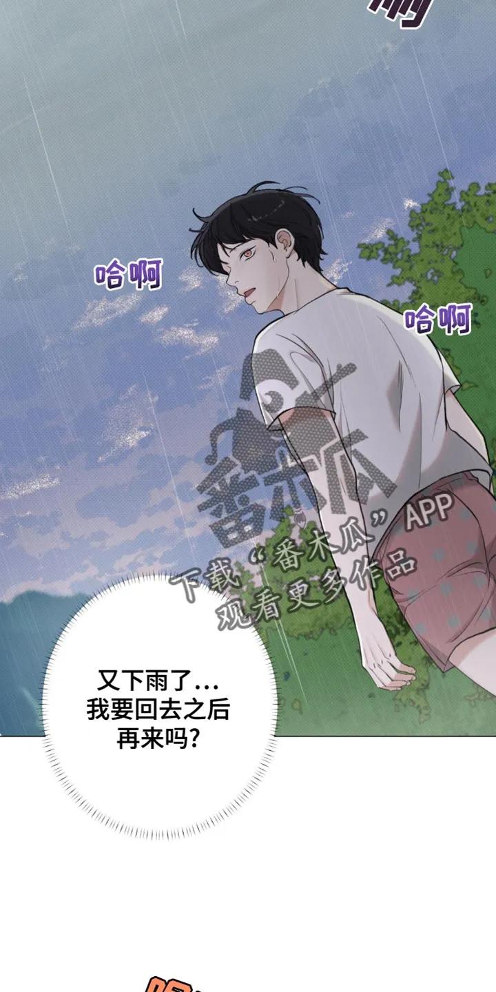 《海岛人生》第40章：他没有说谎 第10页