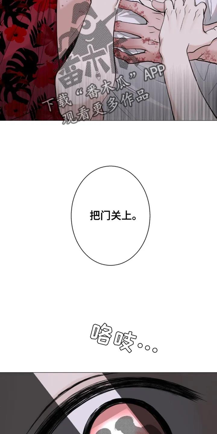 《海岛人生》第40章：他没有说谎 第24页