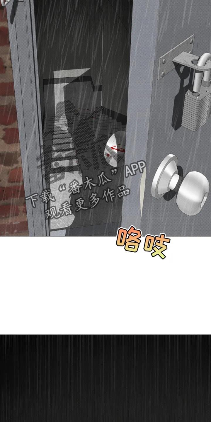 《海岛人生》第40章：他没有说谎 第14页