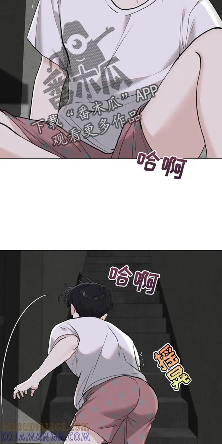 《海岛人生》第40章：他没有说谎 第21页