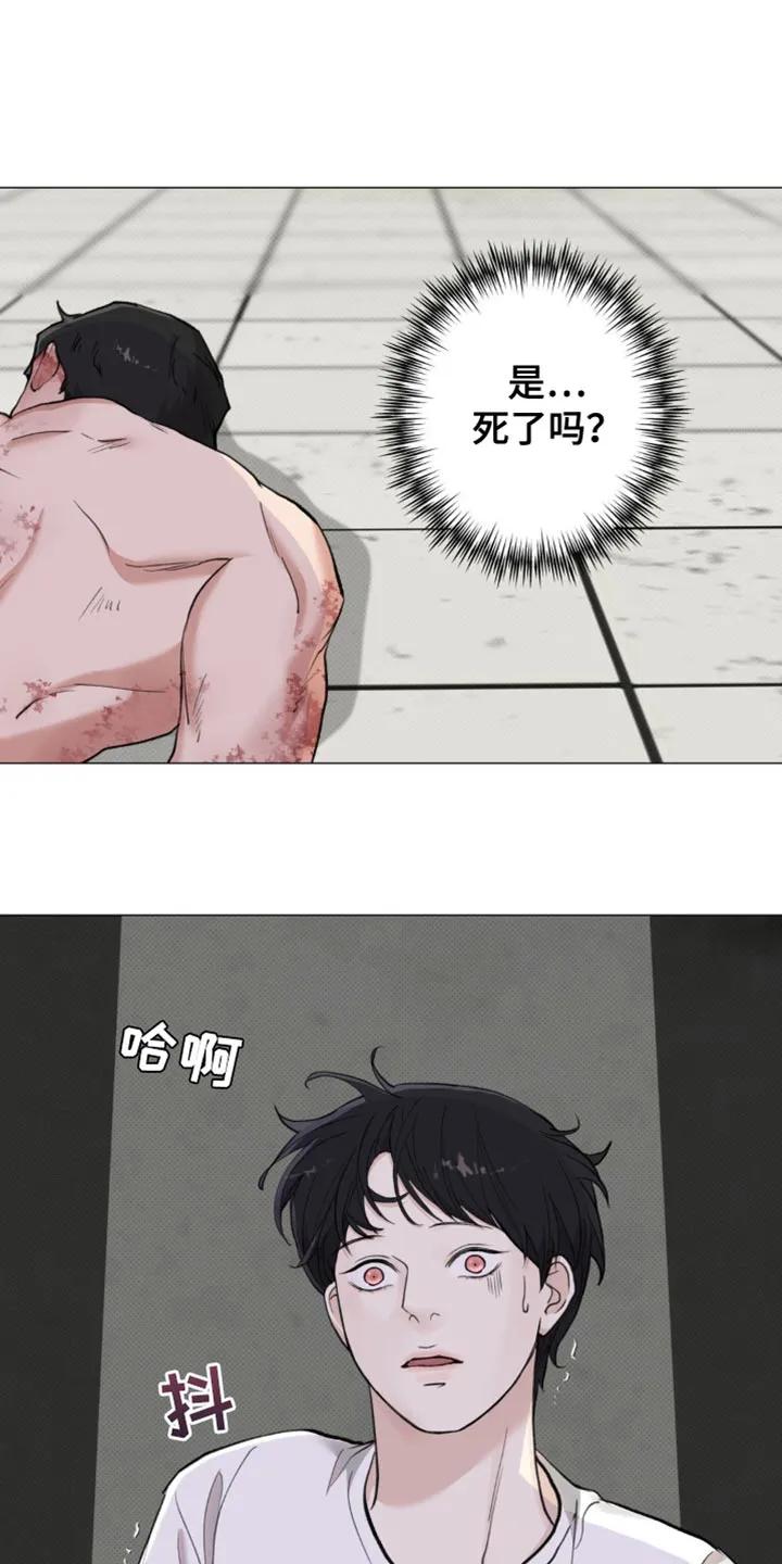 《海岛人生》第40章：他没有说谎 第20页