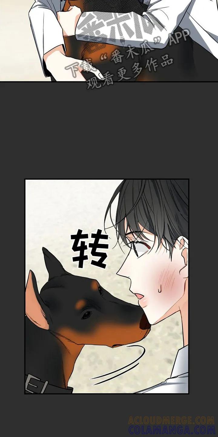 《狩猎之夜》第6章：狩猎开始 第3页