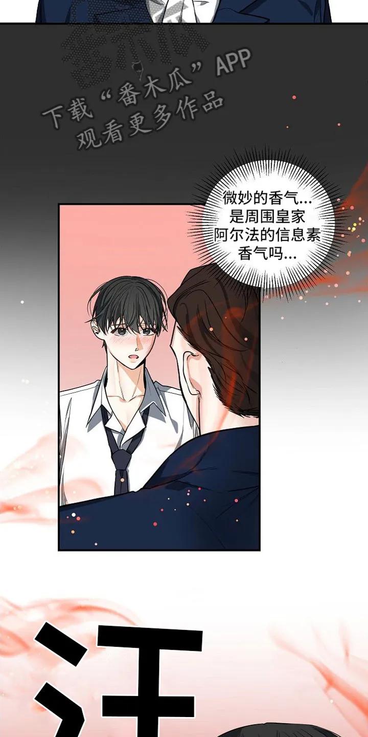 《狩猎之夜》第6章：狩猎开始 第16页