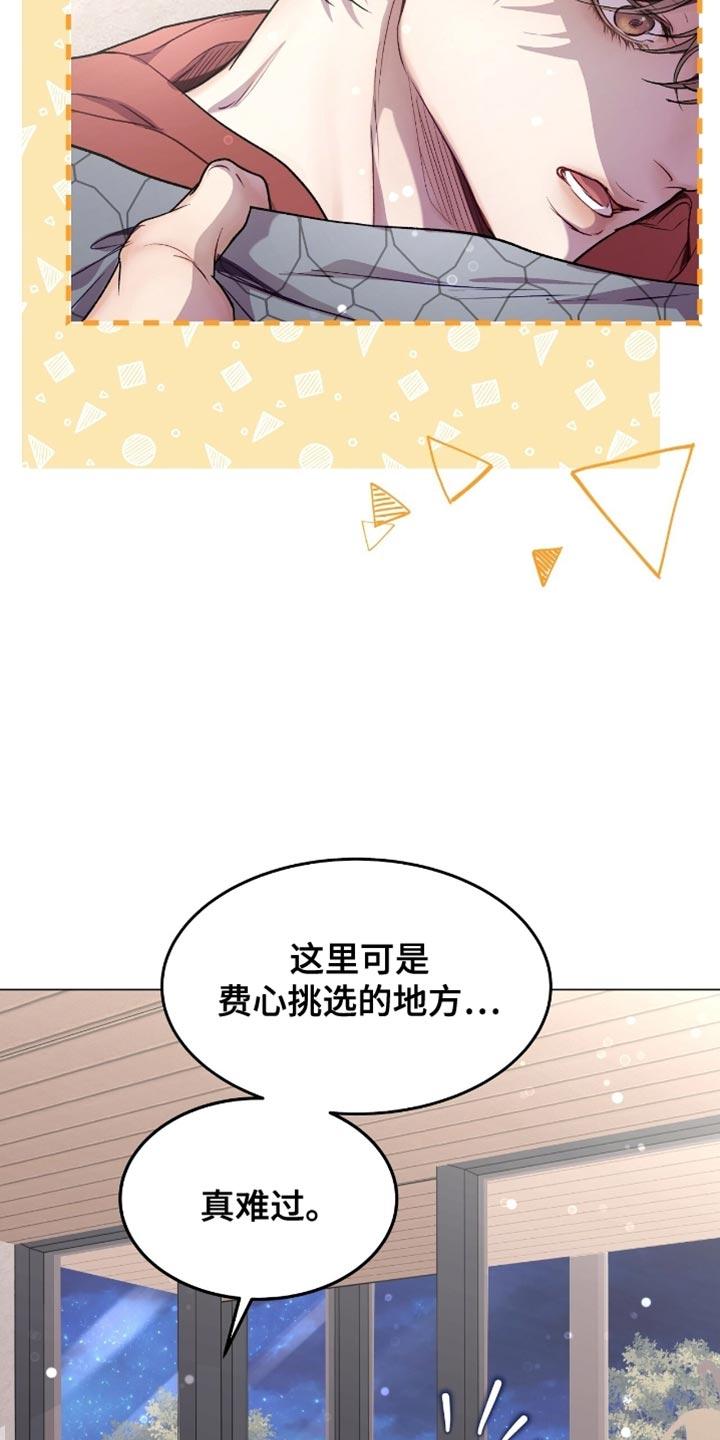 《虚情假意》第165章：有点低落 第2页