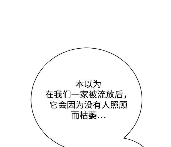 《手握暴君的心脏》第11话 第52页