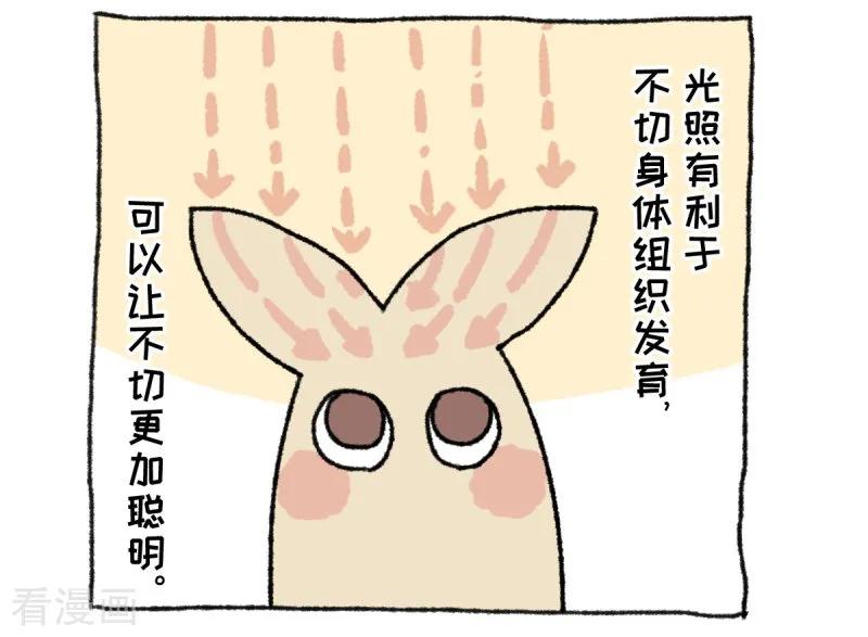《不切传说》第36话 关于不切 第8页