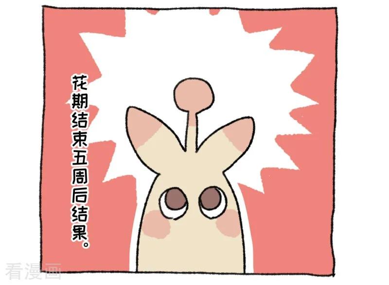《不切传说》第36话 关于不切 第18页