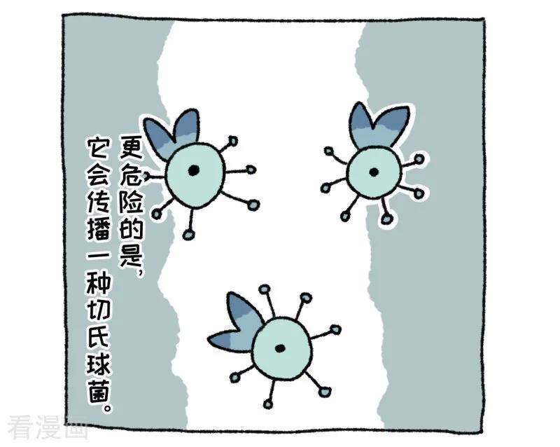 《不切传说》第36话 关于不切 第14页