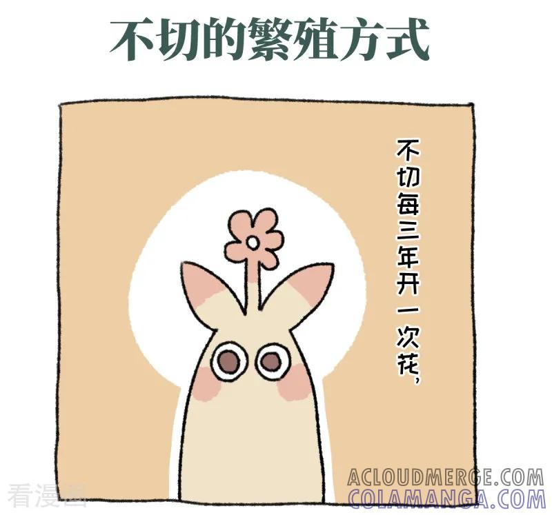 《不切传说》第36话 关于不切 第17页
