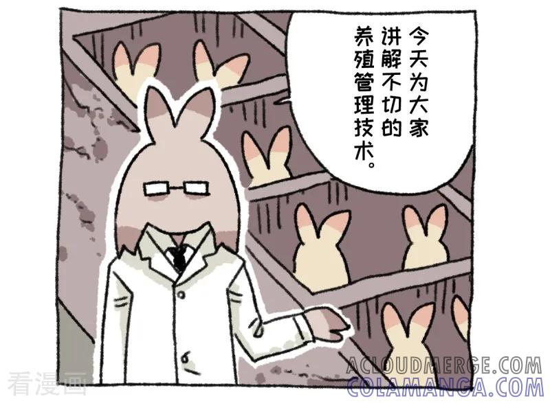 《不切传说》第36话 关于不切 第3页