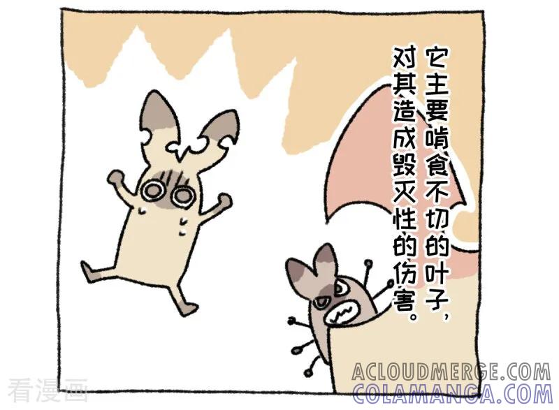 《不切传说》第36话 关于不切 第13页
