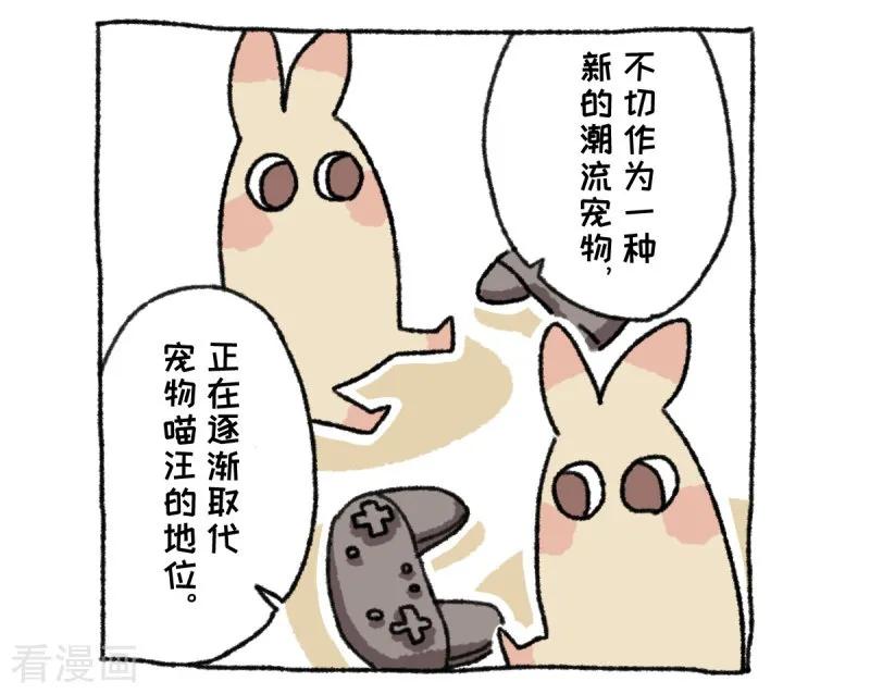《不切传说》第36话 关于不切 第4页