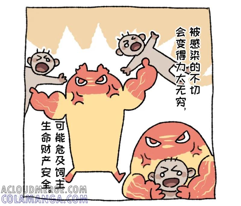 《不切传说》第36话 关于不切 第15页
