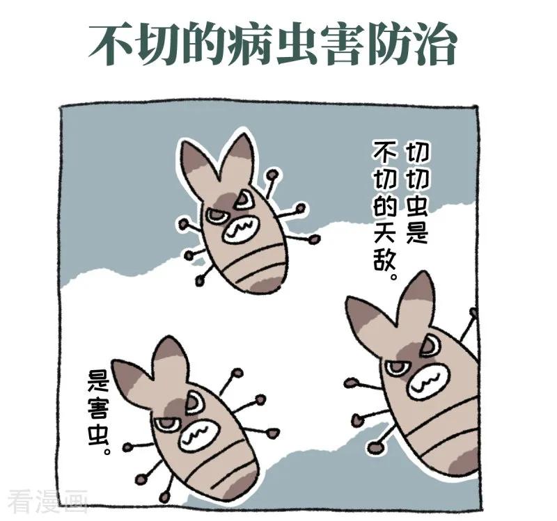 《不切传说》第36话 关于不切 第12页