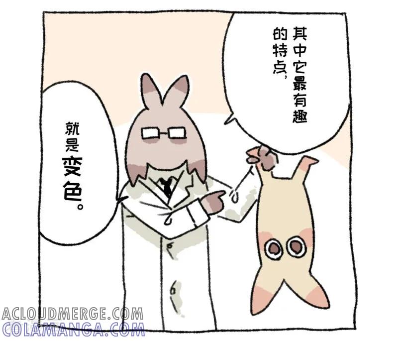 《不切传说》第36话 关于不切 第5页
