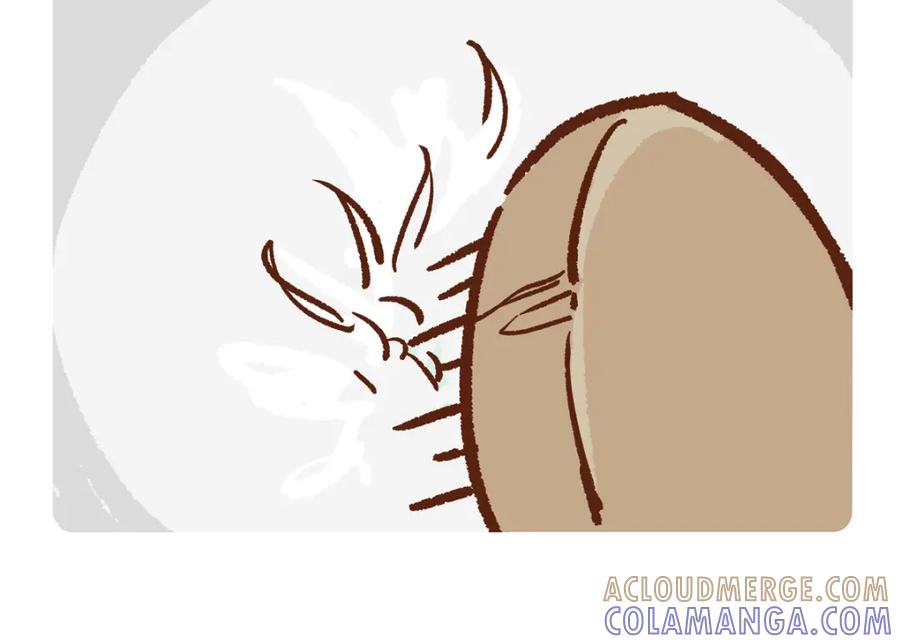 《胖达x胖达》第258话 第5页