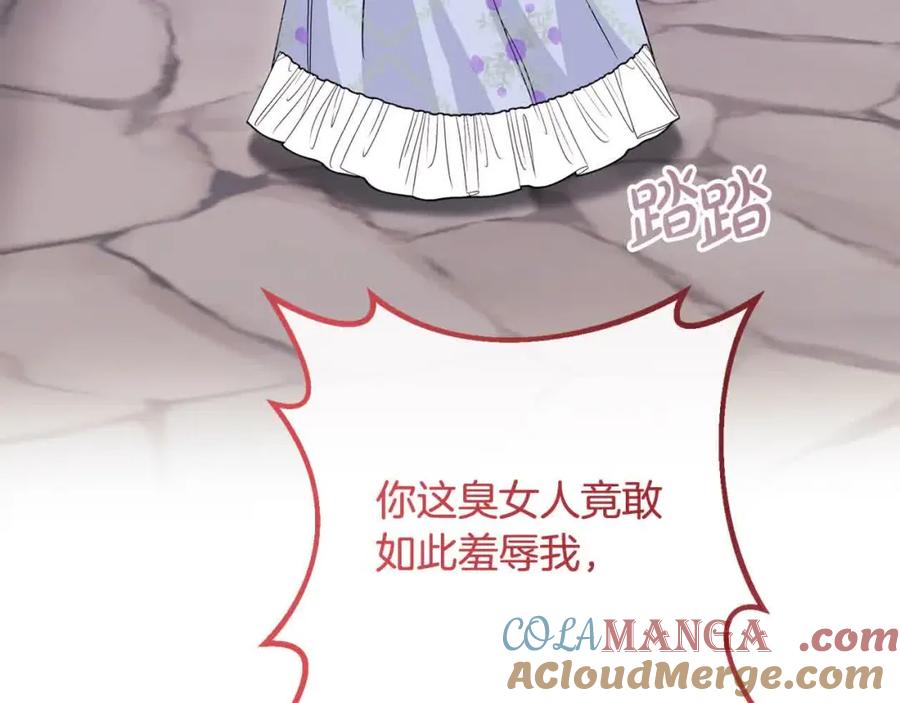 双胞胎姐姐的罢工宣言 第12话 茶话会 第109页