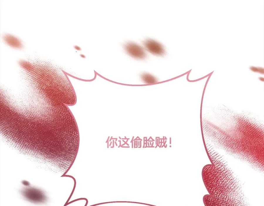 双胞胎姐姐的罢工宣言 第14话 偷脸贼 第164页